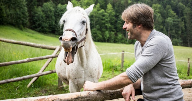 Horse Puns And Jokes