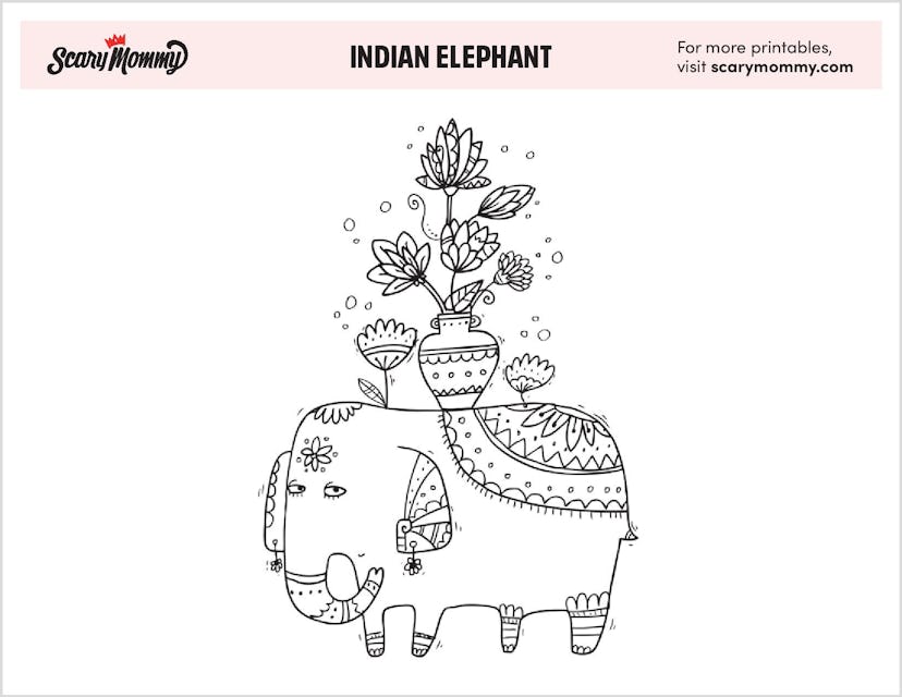 Coloring Pages: Indian Elephant