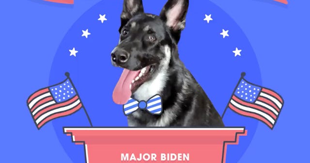 major biden