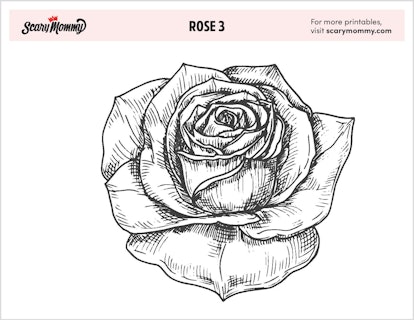 in full bloom 10 free rose coloring page printables for kids