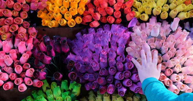 Rose Coloring Pages