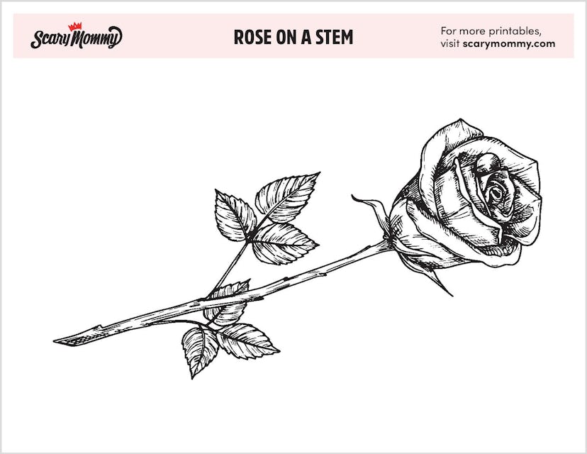 Rose on a Stem