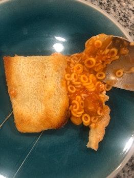 spaghetti o pie on plate