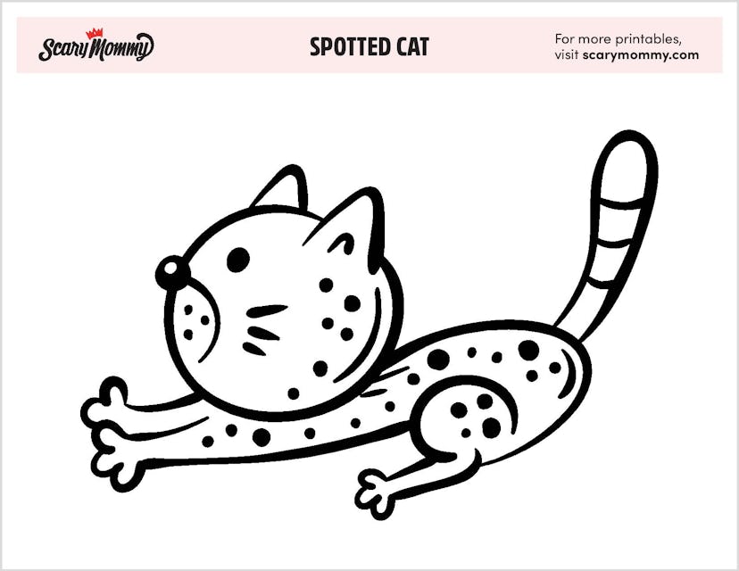 Spotted Cat