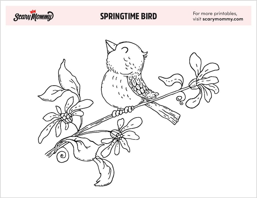 Spring Coloring Pages: Springtime Bird