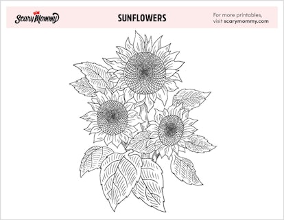 Flower Coloring Pages: Sunflowers