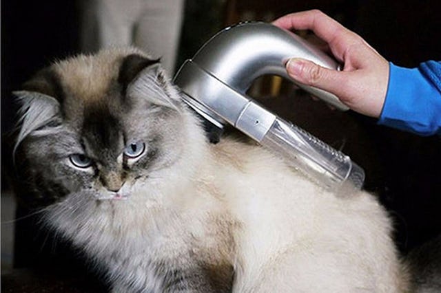 pet vacuum