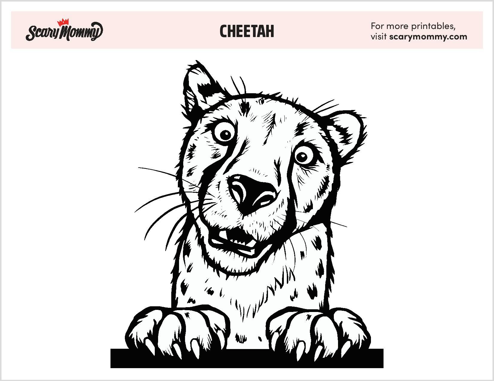 10 Cheetah Coloring Pages That Make A Purr-fect Pastime For Kids