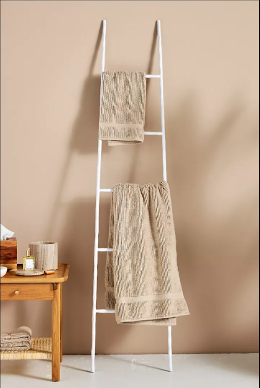 Anthropologie Ellis Iron Ladder