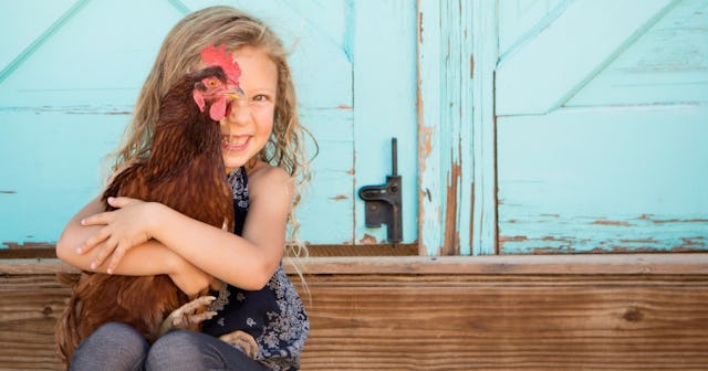 Chicken Coloring Pages