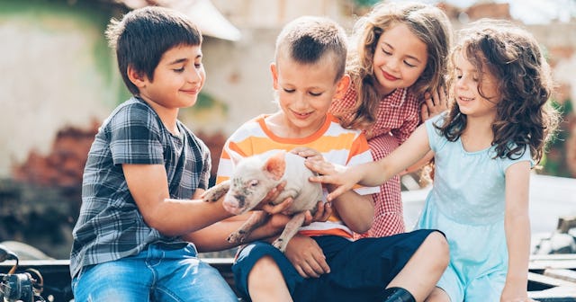 Pig Coloring Pages