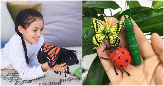 best bug toys