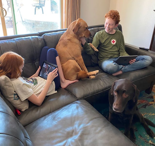 A trans teen, Maddox Lyons sitting on a brown couch in a living room with his sister and two dogs