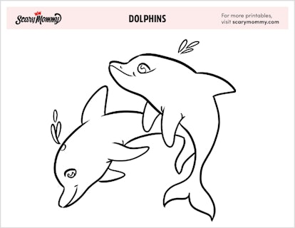 pink dolphin coloring sheets