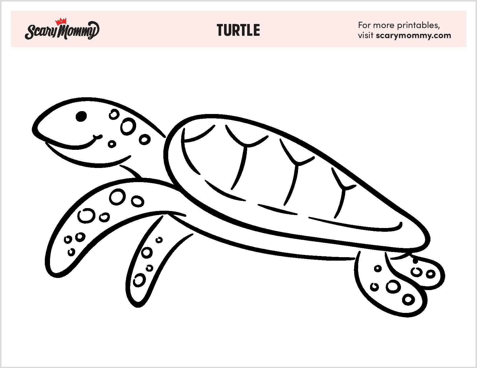 Alligator Snapping Turtle Coloring Pages - Free & Printable!