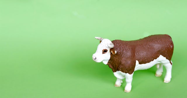 farm animal toys