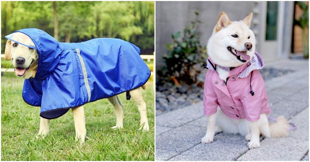 raincoat with dogs on it