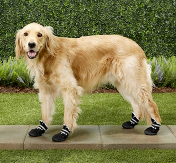 Frisco Anti-Slip Water Resistant Reflective Dog Boots