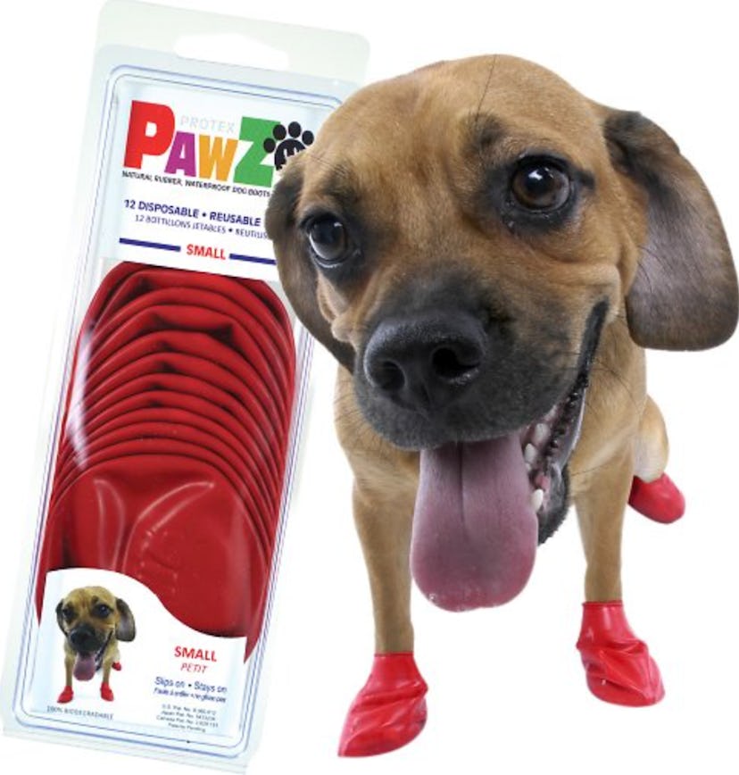 Pawz Waterproof Dog Boots