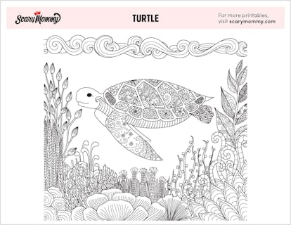 Alligator snapping turtle coloring pages