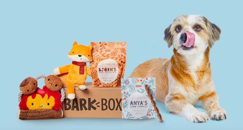 BarkBox Dog Subscription