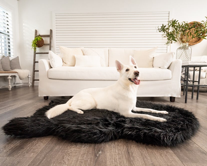 PupRug™ Faux Fur Orthopedic Dog Bed