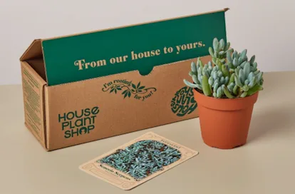 The Most Unique Subscription Boxes You Didn’t Know You Needed