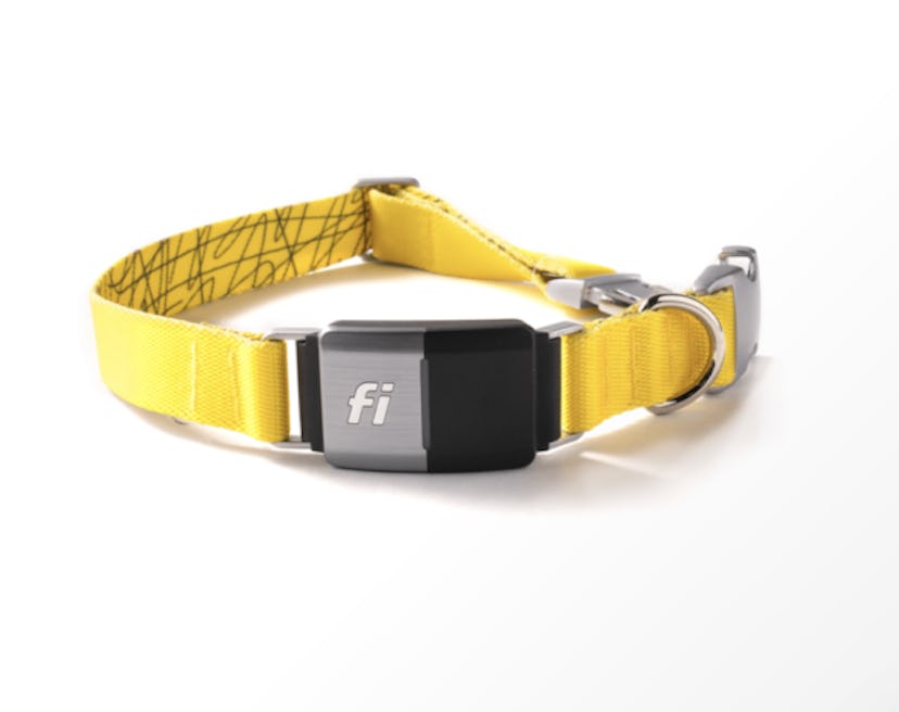 Fi Smart Dog Collar