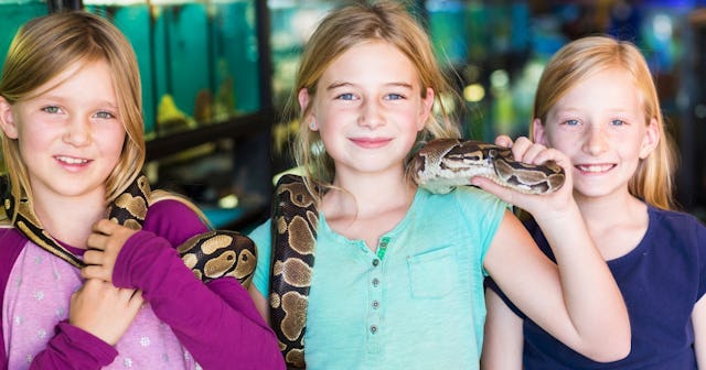 Snake Coloring Pages