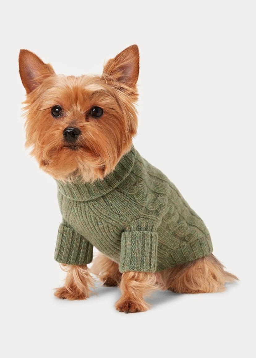 Ralph Lauren Pet Cable Cashmere Dog Sweater