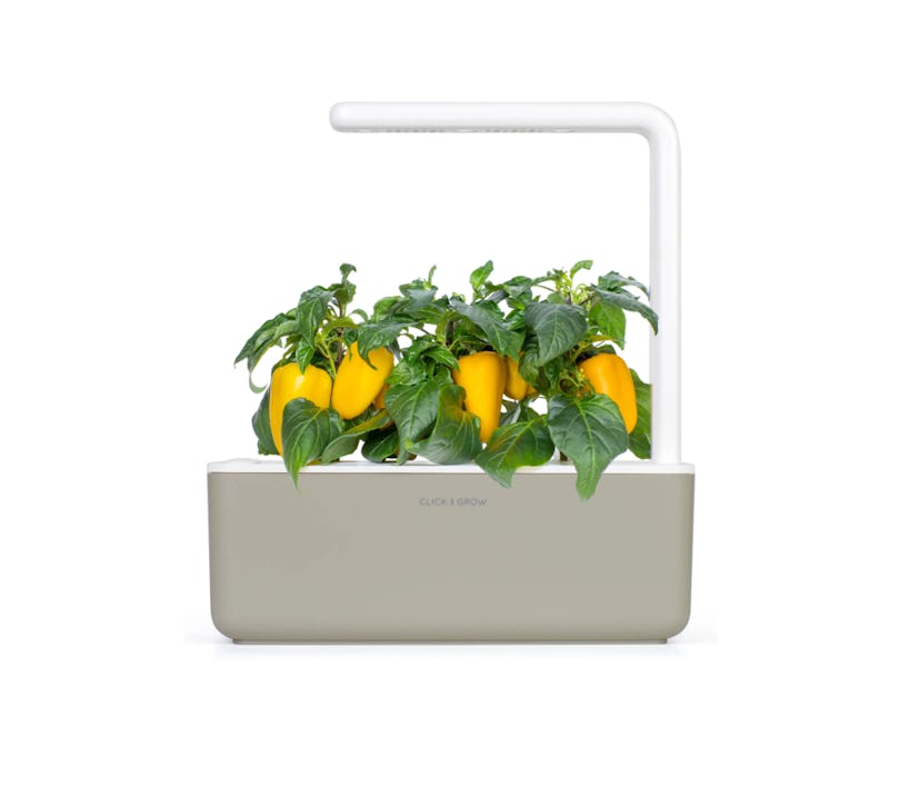 Click & Grow Smart Garden 3 Self Watering Indoor Garden