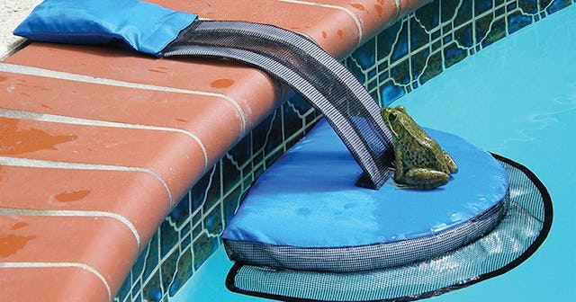 animal pool ramp