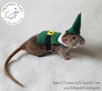 SoSqueakinCute Elf Costume for Hamsters