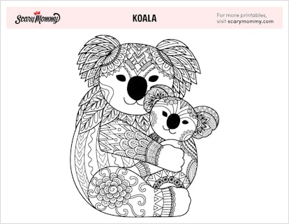 12 koala coloring pages that ll make you want to travel down under