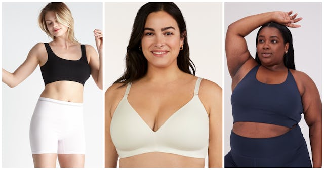 plus size bralettes