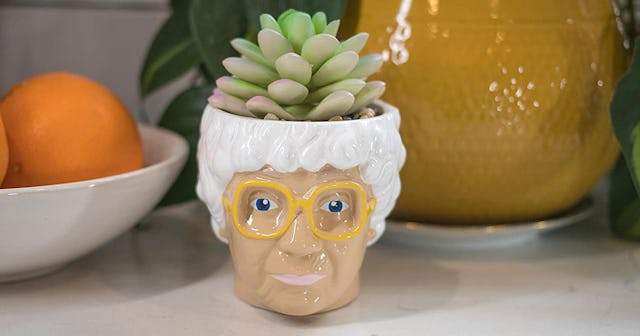 sophia planter