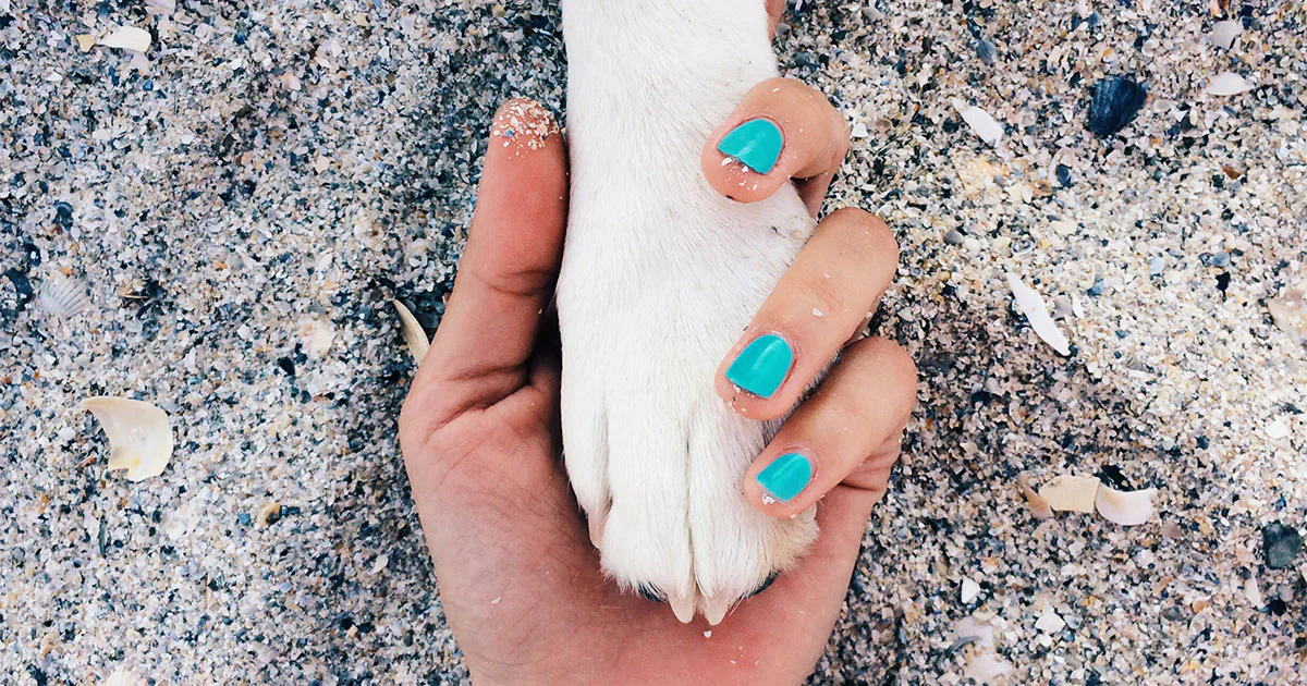 Rescuing My Dog Rescued Me From Depression