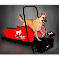 dogPACER Full-Sized Treadmill