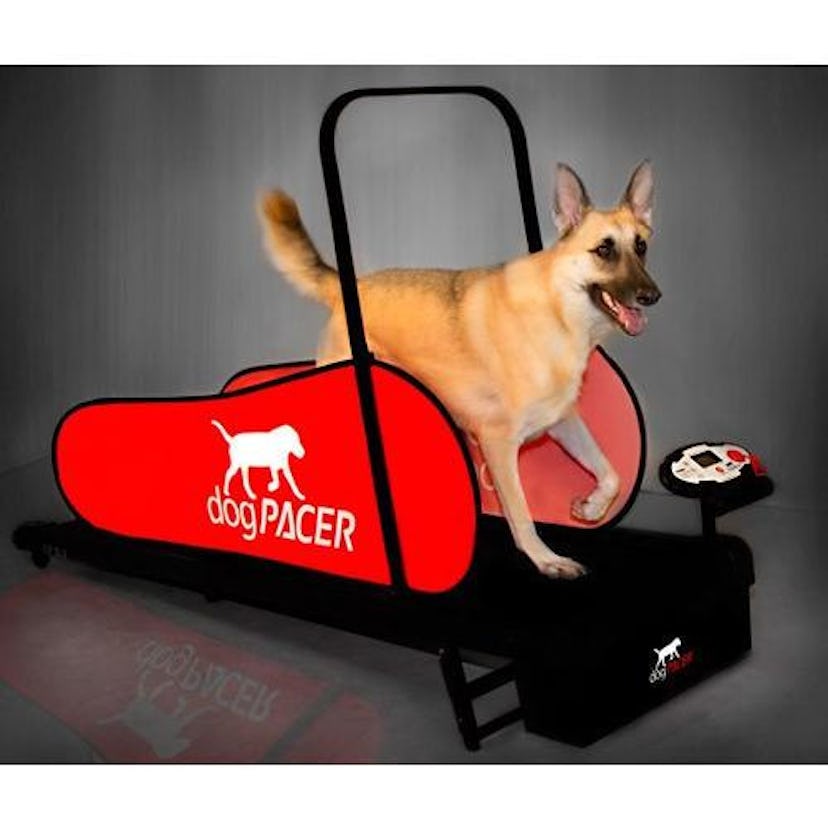 dogPACER Full-Sized Treadmill