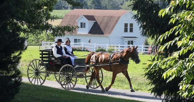 amish names