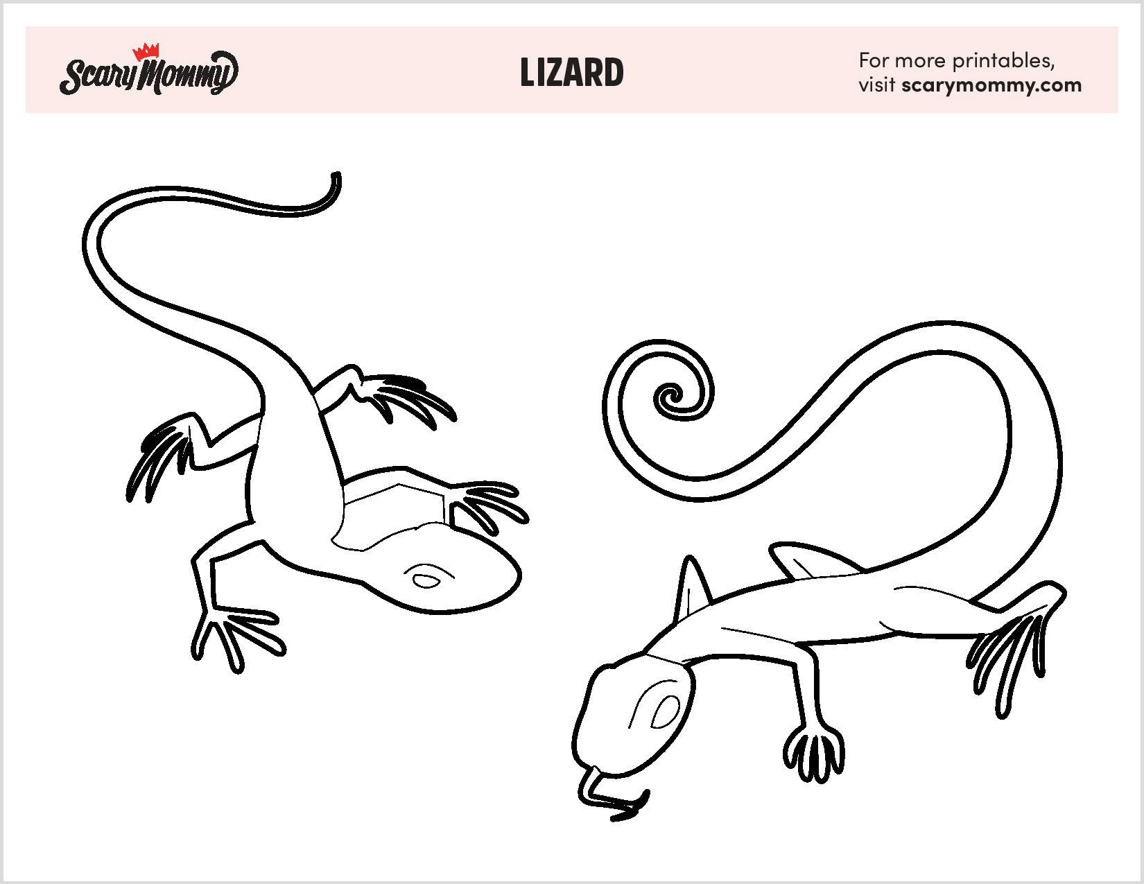 Gliding Draco Lizard Coloring Pages