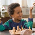 best chess sets
