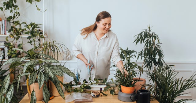 plant names