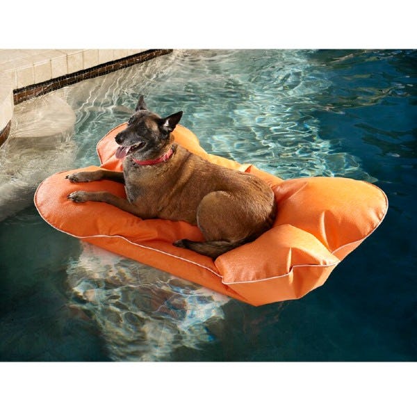 The Best Dog Pool Floats For Good Buoys (And Girls)
