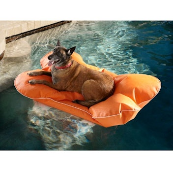 Dog Floats For Pool, Inflatable Pool Float For Dogs Puppies, Large Dog Pool  Floats Pet Dog Floating Mat For Summer