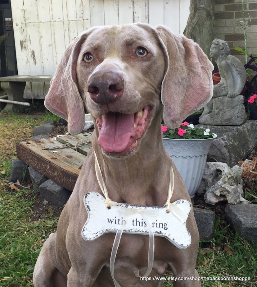 thebackporchshoppe Dog Wedding Ring Holder