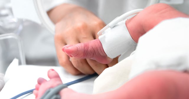 A newborn baby in an incubator and a doctor's hand next to it