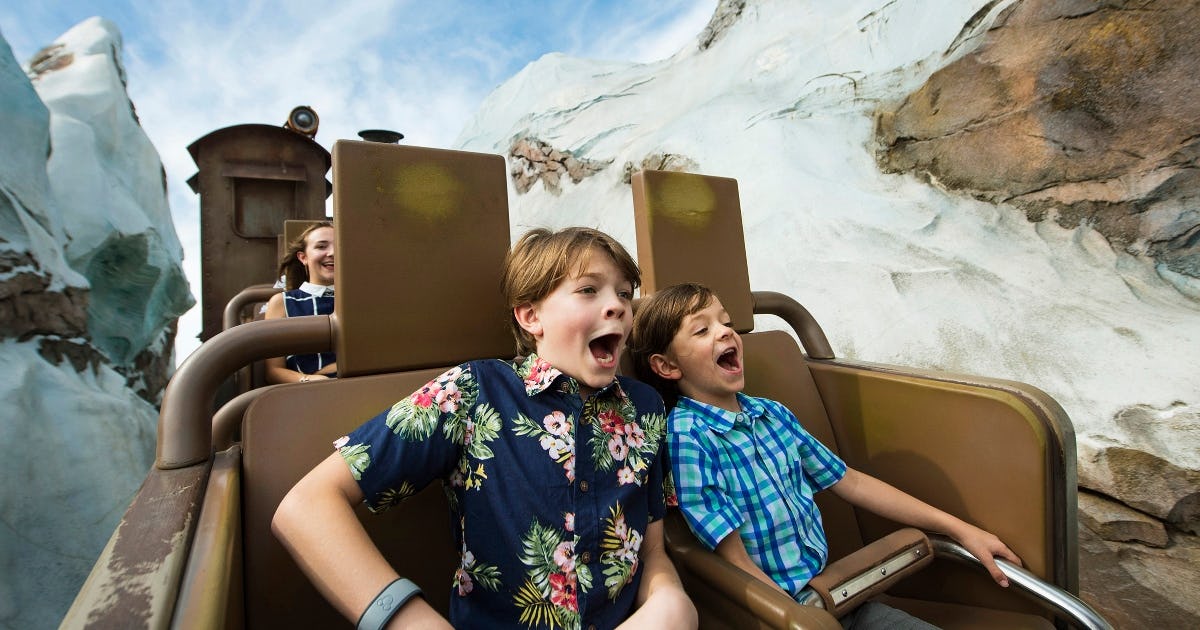 An Annual Passholder’s Guide To The Absolute Best Disney World Rides