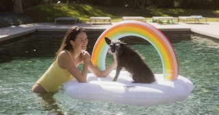 A woman and a dog on the pool float playing 