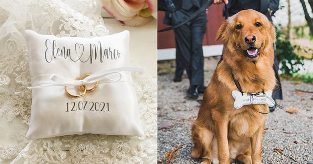 A white pillow with "Elena loves Marco 12.07.2021." text, and a brown dog with a bone-shaped collar